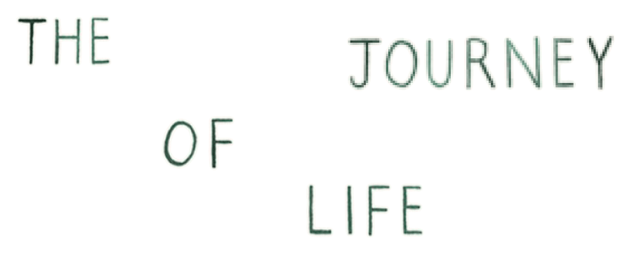 the journey of life